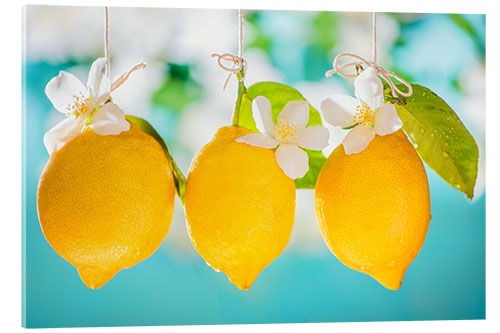 Acrylic print Lemons