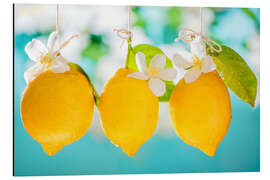 Magnettafel Saftige Zitronen