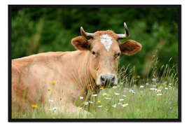 Gerahmter Kunstdruck Almkuh auf der Weide