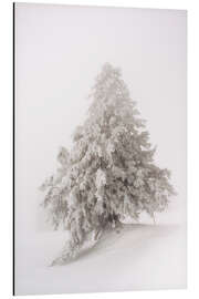 Aluminium print Single snow covered tree in thick fog in winter  Rigi, Switzerland