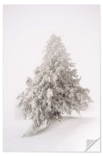 Selvklæbende plakat Single snow covered tree in thick fog in winter  Rigi, Switzerland