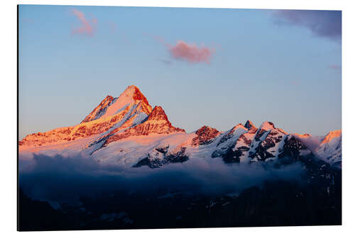 Alubild Schreckhorn Alpen glühen bei Sonnenuntergang Blick von First, Grindelwald, Schweiz