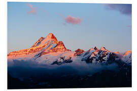 Foam board print Schreckhorn alpen glow at sunset  View from First, Grindelwald, Switzerland 