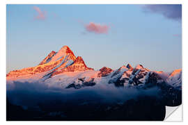 Selvklebende plakat Schreckhorn alpen glow at sunset  View from First, Grindelwald, Switzerland 