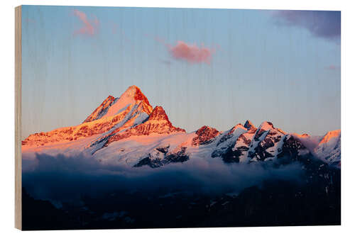 Print på træ Schreckhorn alpen glow at sunset  View from First, Grindelwald, Switzerland 