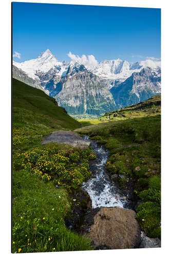 Alubild Bergpanorama mit Schreckhorn und Fiescherhorn Blick von First, Grindelwald, Schweiz