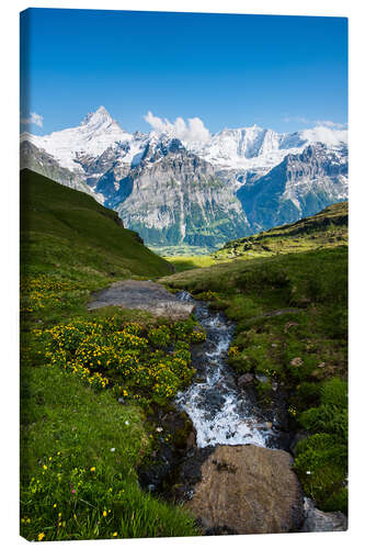 Obraz na płótnie Mountain panorama with Schreckhorn and Fiescherhorn  View from First, Grindelwald, Switzerland