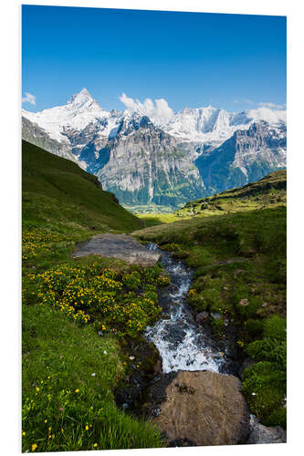 Foam board print Mountain panorama with Schreckhorn and Fiescherhorn  View from First, Grindelwald, Switzerland