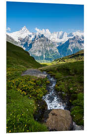 Foam board print Mountain panorama with Schreckhorn and Fiescherhorn  View from First, Grindelwald, Switzerland