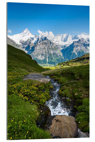 Galleriprint Mountain panorama with Schreckhorn and Fiescherhorn  View from First, Grindelwald, Switzerland