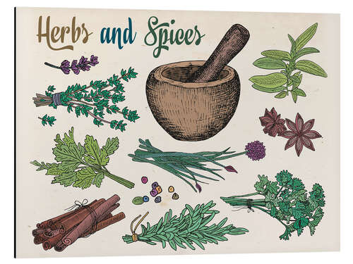 Aluminiumsbilde Herbs 