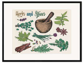 Framed art print Herbs 