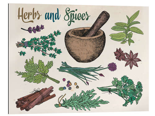 Stampa su plexi-alluminio Herbs and spices