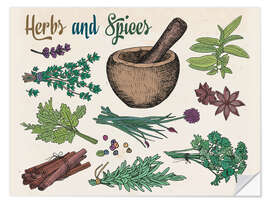 Wall sticker Herbs 