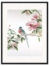 Framed art print Jay on a flowering branch