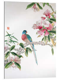 Gallery print Jay on a flowering branch