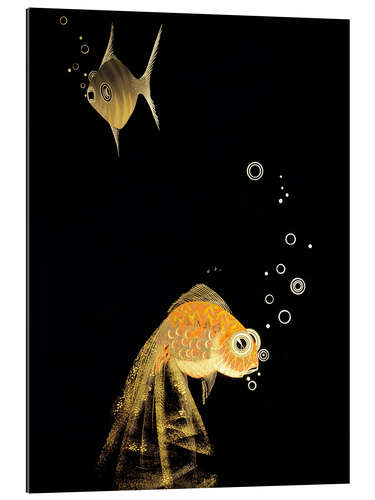 Quadro em plexi-alumínio goldfish