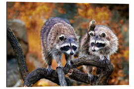 Magnettafel Die Panzerknacker