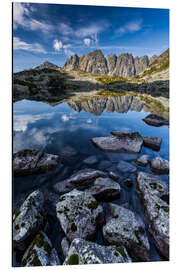 Aluminium print Zabie plesa - High Tatras