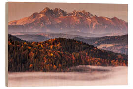 Obraz na drewnie High Tatras