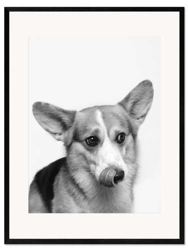 Plakat artystyczny premium w ramie Corgi I