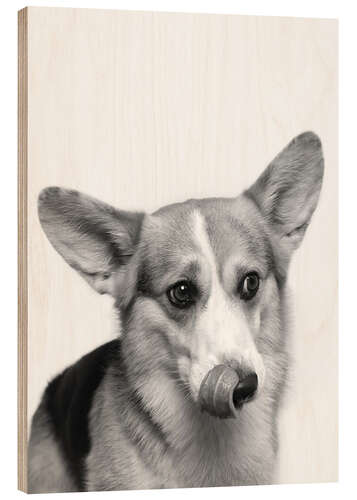 Holzbild Corgi I