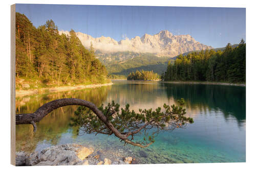 Holzbild Am Eibsee in Bayern