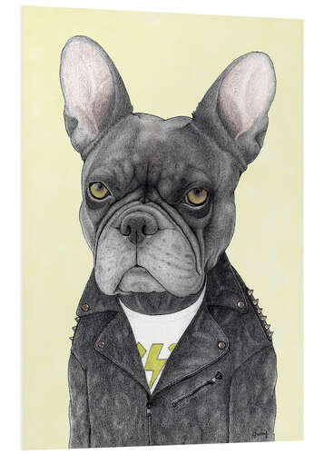 Foam board print Hard Rock French Bulldog