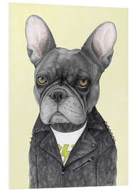 Foam board print Hard Rock French Bulldog