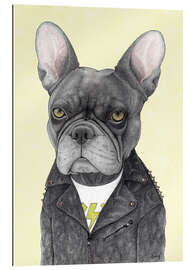 Gallery print Hard Rock French Bulldog