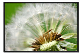 Gerahmter Kunstdruck Pusteblume grünes Bokeh