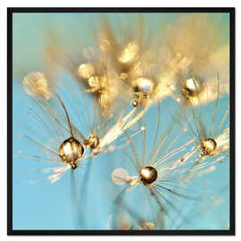 Gerahmter Kunstdruck Pusteblume mit kleinen Perlen