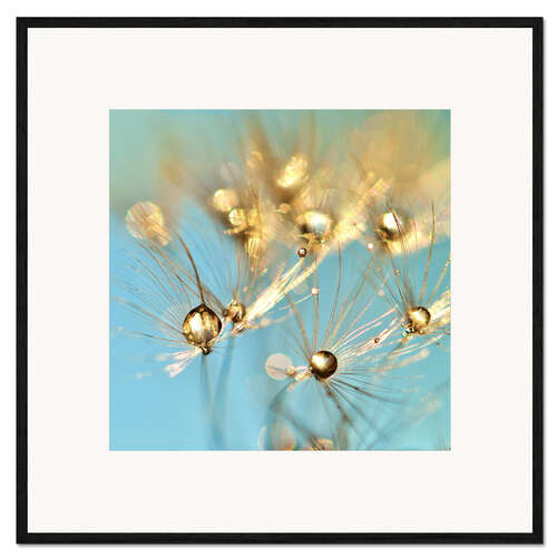 Impression artistique encadrée Dandelion and pearls