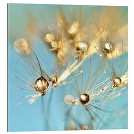 Gallery print Dandelion and pearls