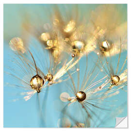 Wall sticker Dandelion and pearls