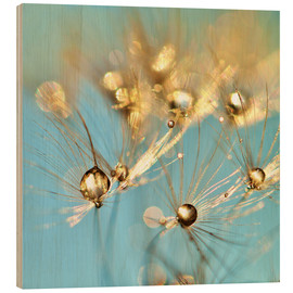 Wood print Dandelion and pearls - Julia Delgado