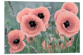 Tableau en PVC Coquelicots en gros plan, pastel