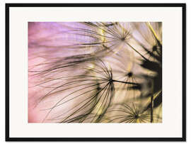 Gerahmter Kunstdruck Pusteblume Flair