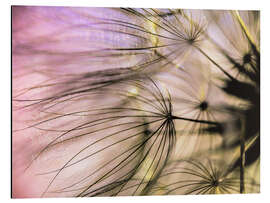 Magnettafel Pusteblume Flair