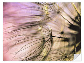 Vinilo para la pared Pusteblume Flair