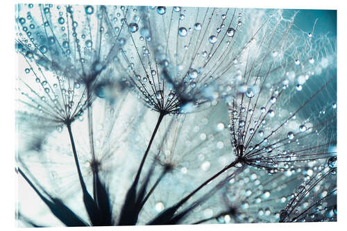 Akryylilasitaulu Dandelion blue art