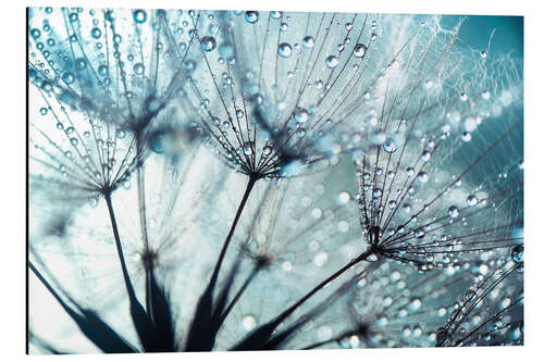 Aluminiumtavla Dandelion blue art