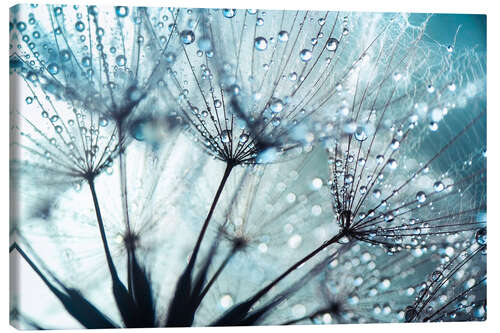 Canvas print Dandelion blue art