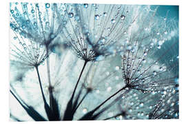 Foam board print Dandelion blue art