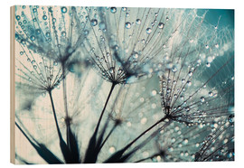 Cuadro de madera  Dandelion blue art - Julia Delgado