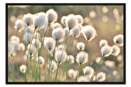 Gerahmter Kunstdruck Wollgraszauber