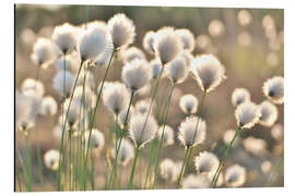 Magnettafel Wollgraszauber - Julia Delgado