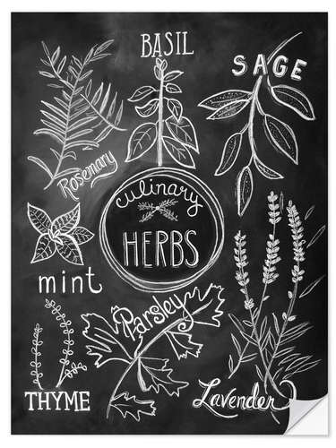 Selvklebende plakat Culinary herbs