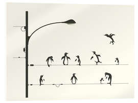 Acrylglasbild PENGUINS ON A WIRE