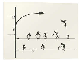 Foam board print PENGUINS ON A WIRE